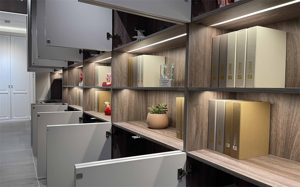 bwin必赢钻石客户KD定制家居 始于颜值 终于品质