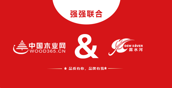 强强联合 bwin必赢和中国木业网达成战略合作